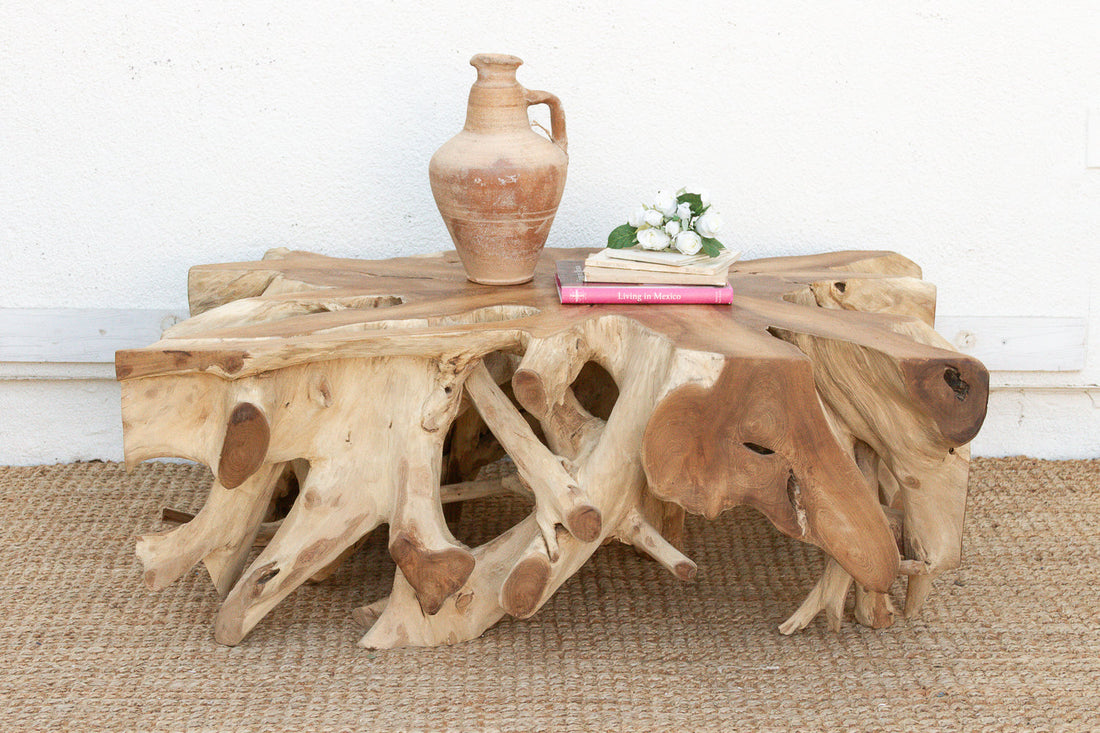 Sculptural Live Form Teak Root Coffee Table