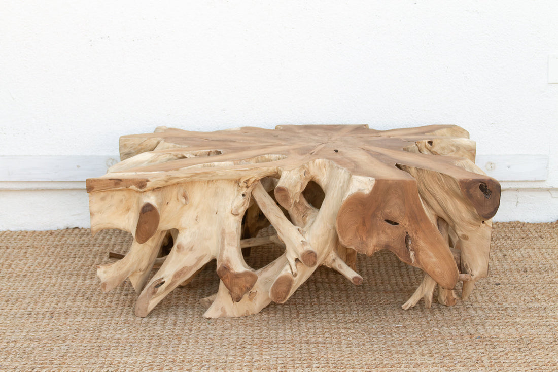 Sculptural Live Form Teak Root Coffee Table