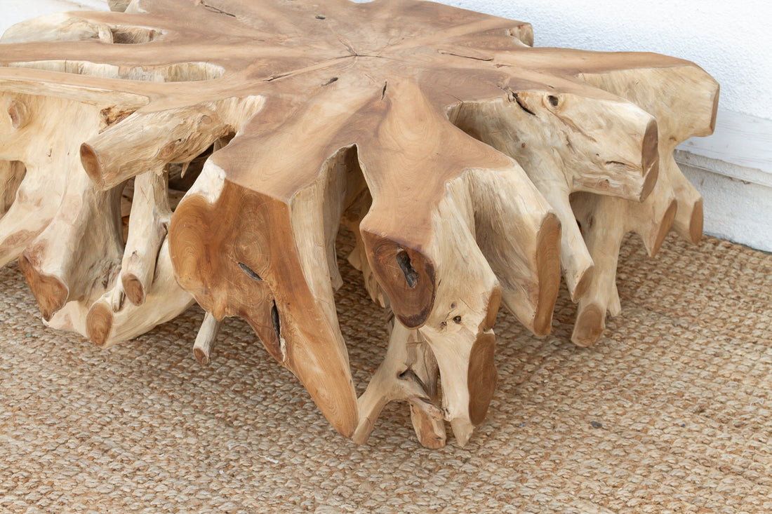 Sculptural Live Form Teak Root Coffee Table