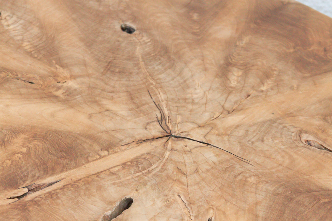 Sculptural Live Form Teak Root Coffee Table