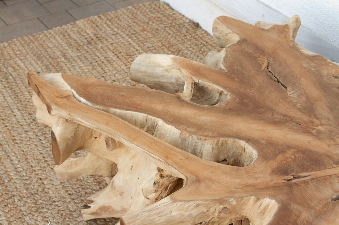 Sculptural Live Form Teak Root Coffee Table