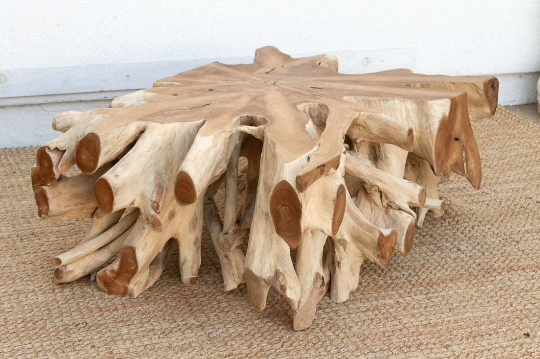 Sculptural Live Form Teak Root Coffee Table