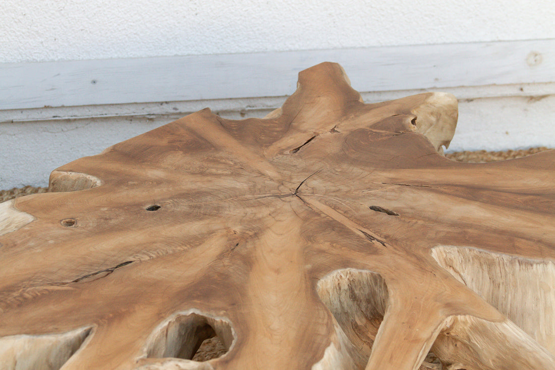 Sculptural Live Form Teak Root Coffee Table