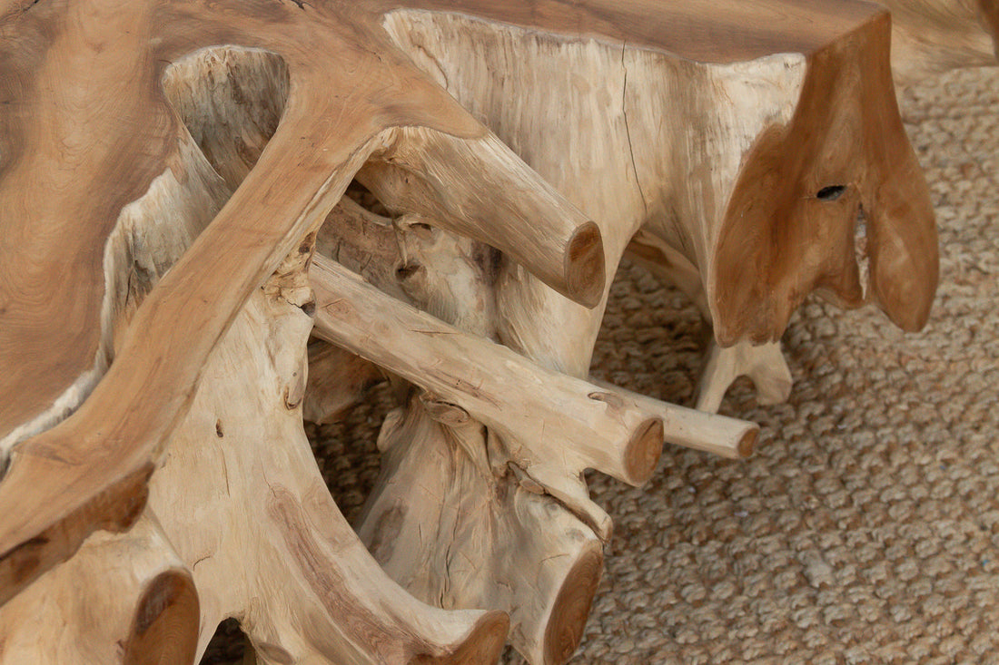 Sculptural Live Form Teak Root Coffee Table