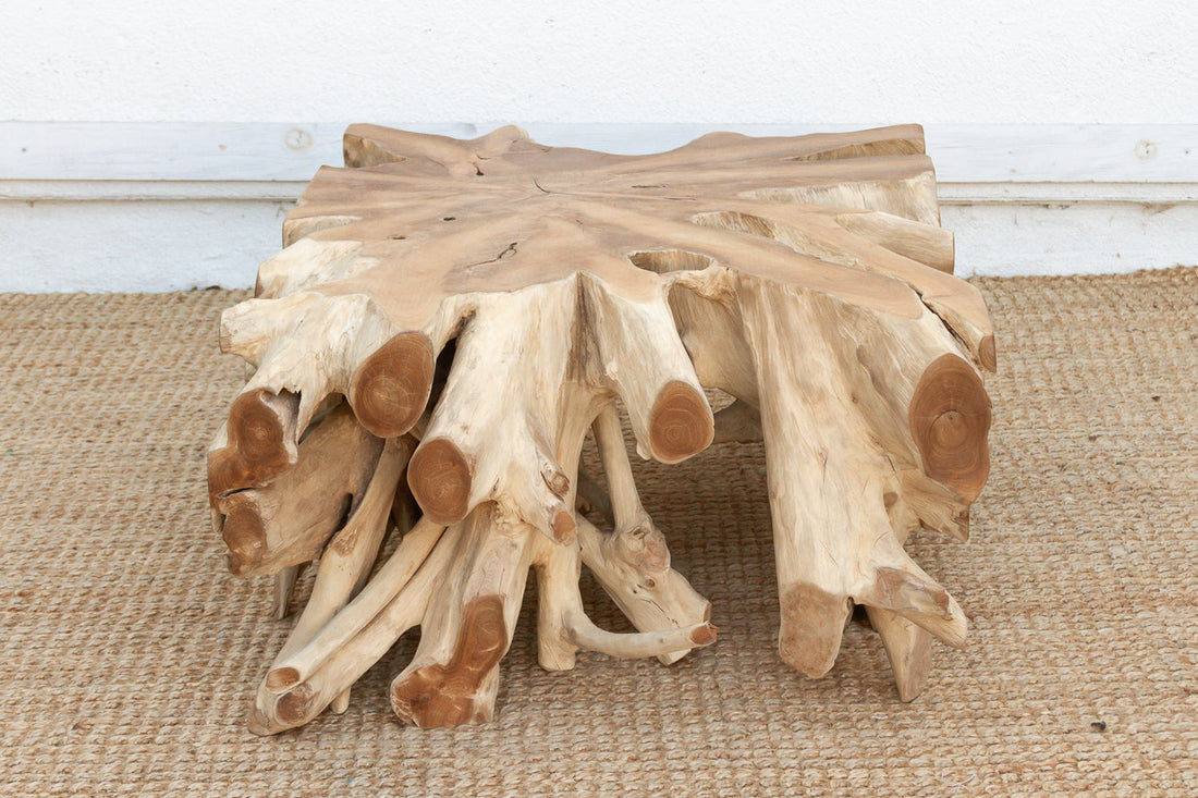 Sculptural Live Form Teak Root Coffee Table