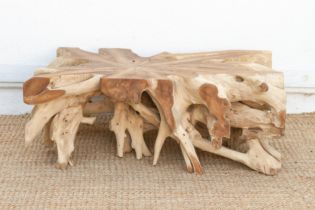 Sculptural Live Form Teak Root Coffee Table