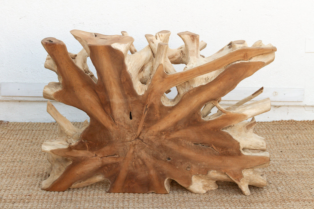 Sculptural Live Form Teak Root Coffee Table