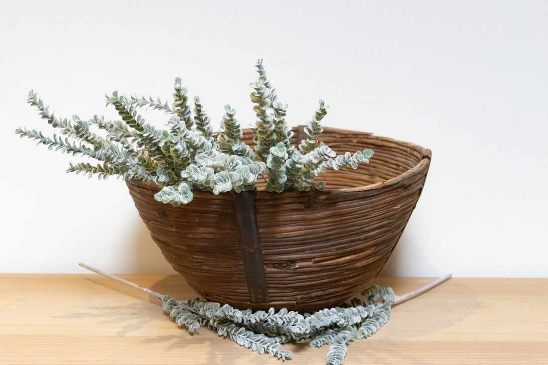Large Wicker Vegatable Basket