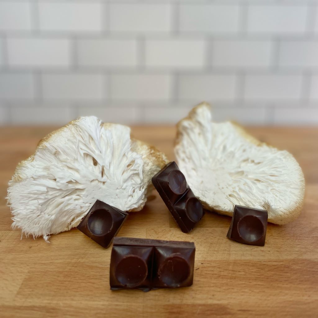 Ceremonial Cacao Paste with Functional Mushrooms