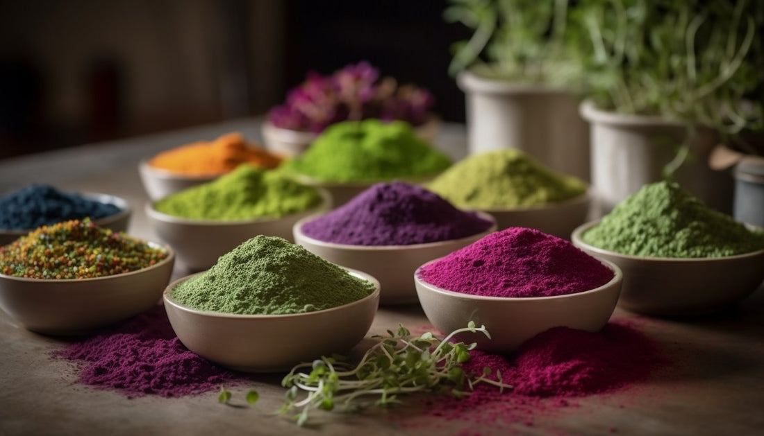 SuperFood - Concentrated Microgreen Powder - Freeze Dried